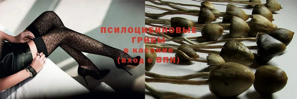 герыч Алексин