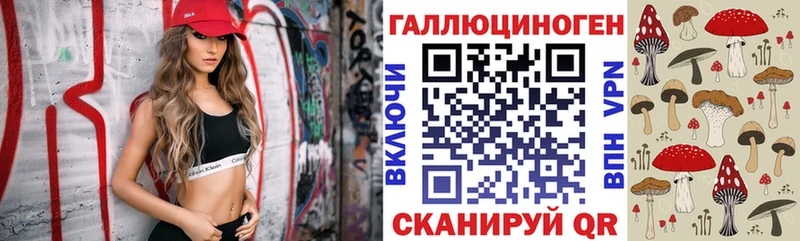 где купить наркоту Черкесск Псилоцибиновые грибы GOLDEN TEACHER